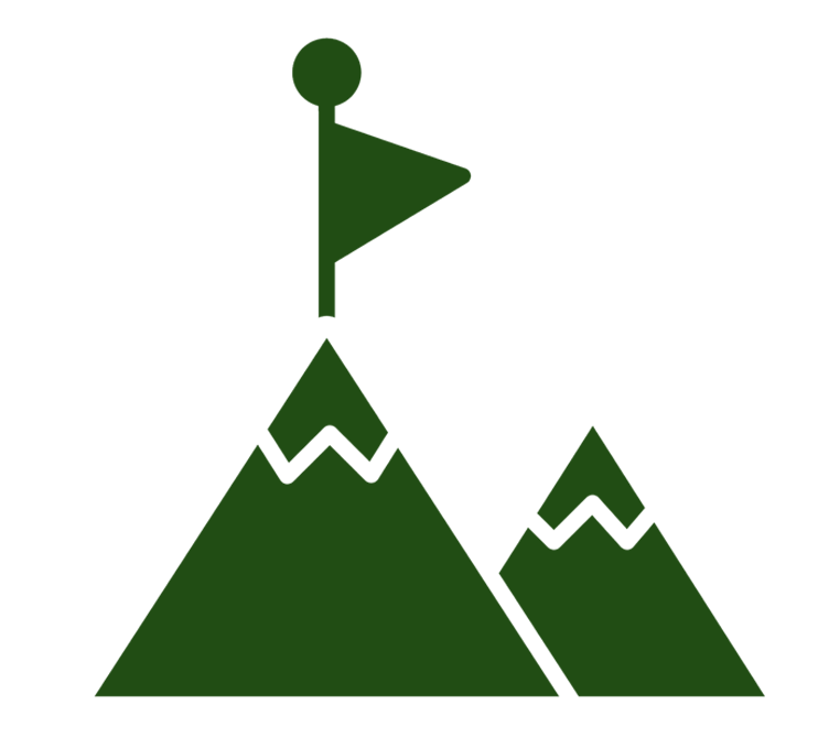 Mission Icon
