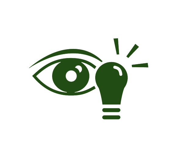 Vision Icon