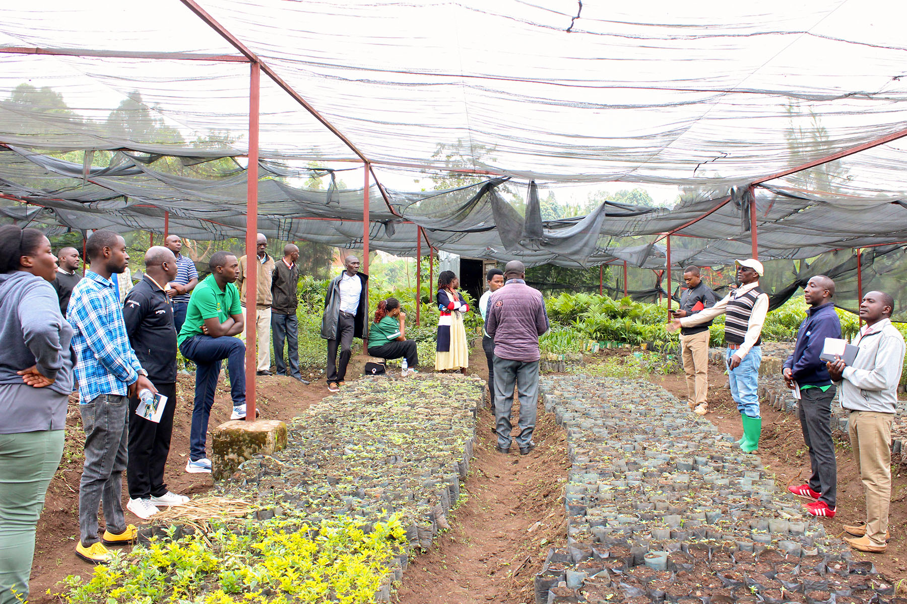 SEEDS AND NURSERIES